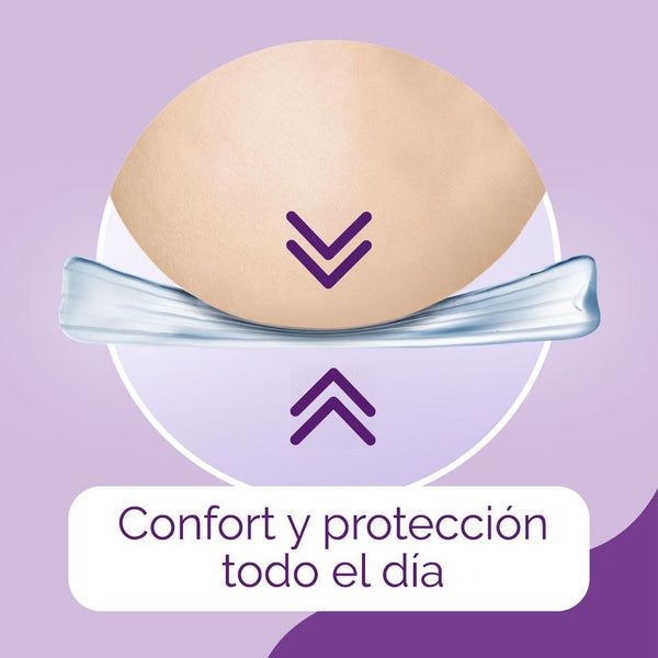Scholl Protector Talón Invisible