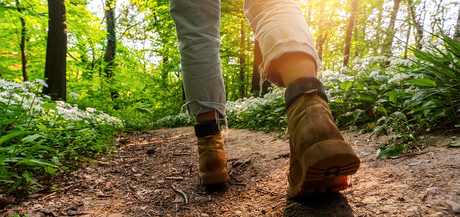 Finding the Perfect Insoles: A Guide to Comfort and Support