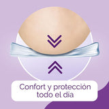 Scholl Puntos Sensibles