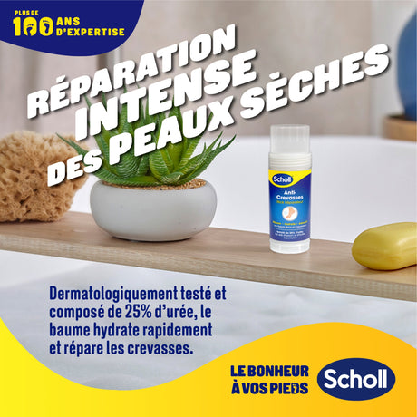 Scholl Stick Anti-Crevasses 70g