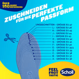 Scholl DE Insoles 35.5 - 40.5 Scholl Stoßdämpfende Einlegesohlen