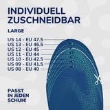 Scholl DE Insoles Dr. Scholl’s 24-Hour Energy Einlagen, EU Größe 40-47.5