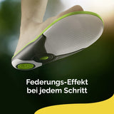 Scholl DE Insoles Scholl LiquiFlex Komforteinlegesohlen Everyday L, mehr Polsterung durch Memory Foam und Unterstützung des Fußgewölbes, 1 x 2 Stück